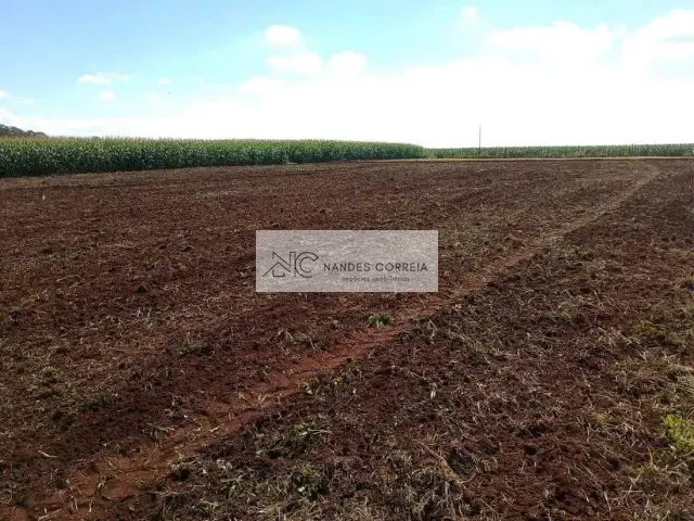 Terreno com 24000m², à venda, no bairro Patrimônio Regina em Londrina