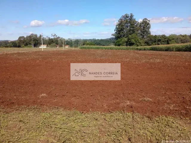 Terreno com 24000m², à venda, no bairro Patrimônio Regina em Londrina
