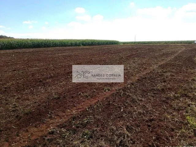 Terreno com 24000m², à venda, no bairro Patrimônio Regina em Londrina
