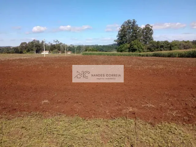 Terreno com 24000m², à venda, no bairro Patrimônio Regina em Londrina