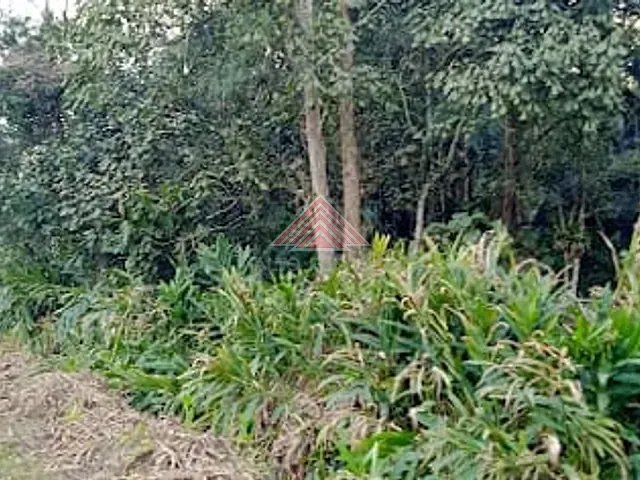 Terreno com 4068m², à venda, no bairro Vila California em Rio Grande da Serra