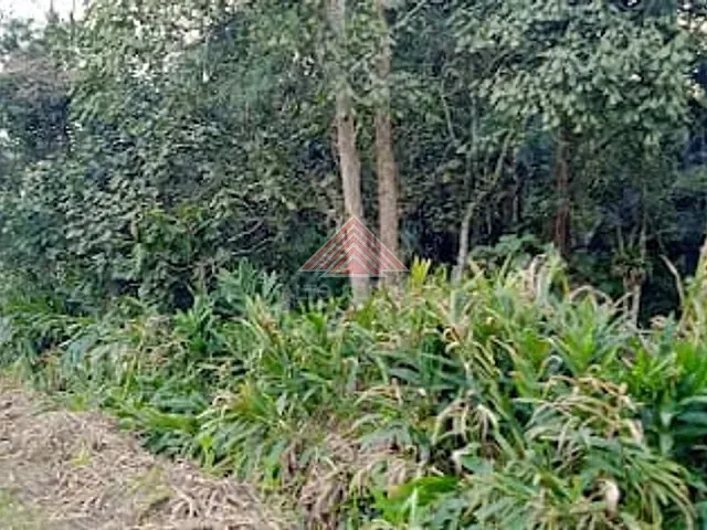 Terreno com 4068m², à venda, no bairro Vila California em Rio Grande da Serra