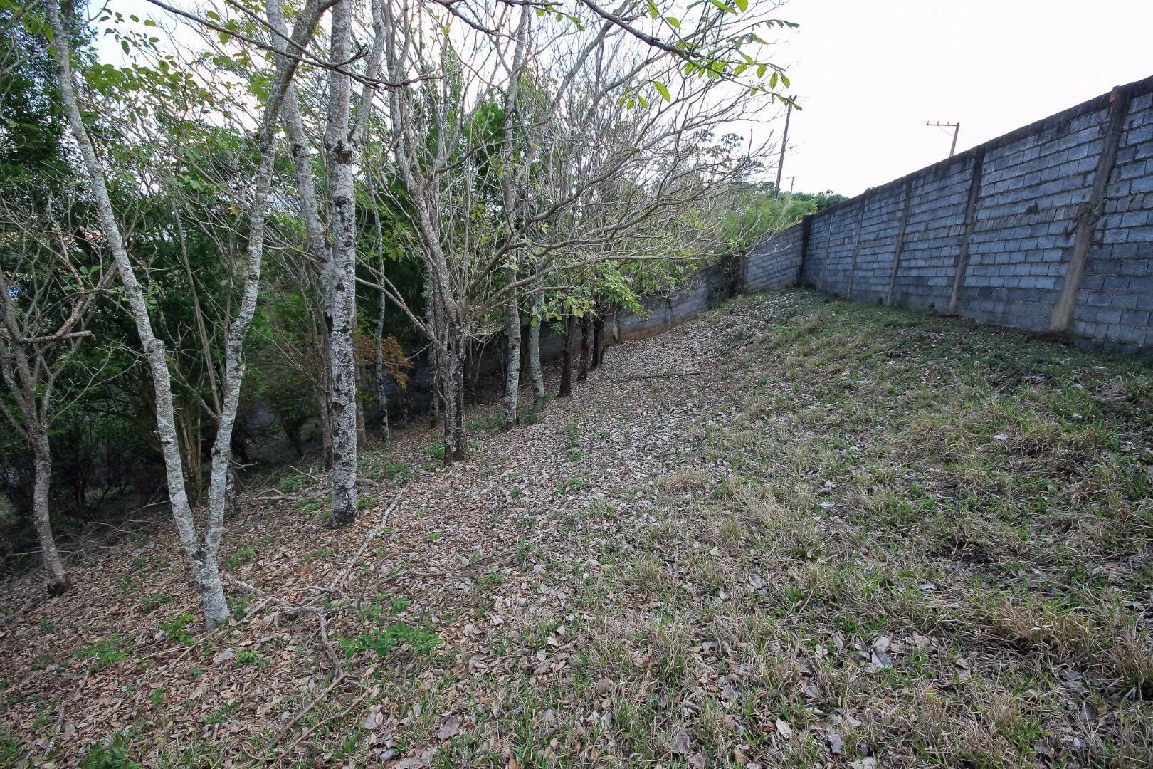Terreno, 3000 m² - Foto 32