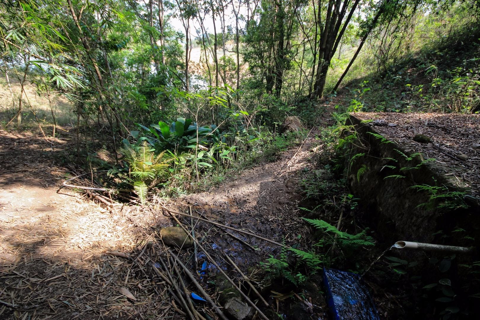 Terreno, 3000 m² - Foto 45