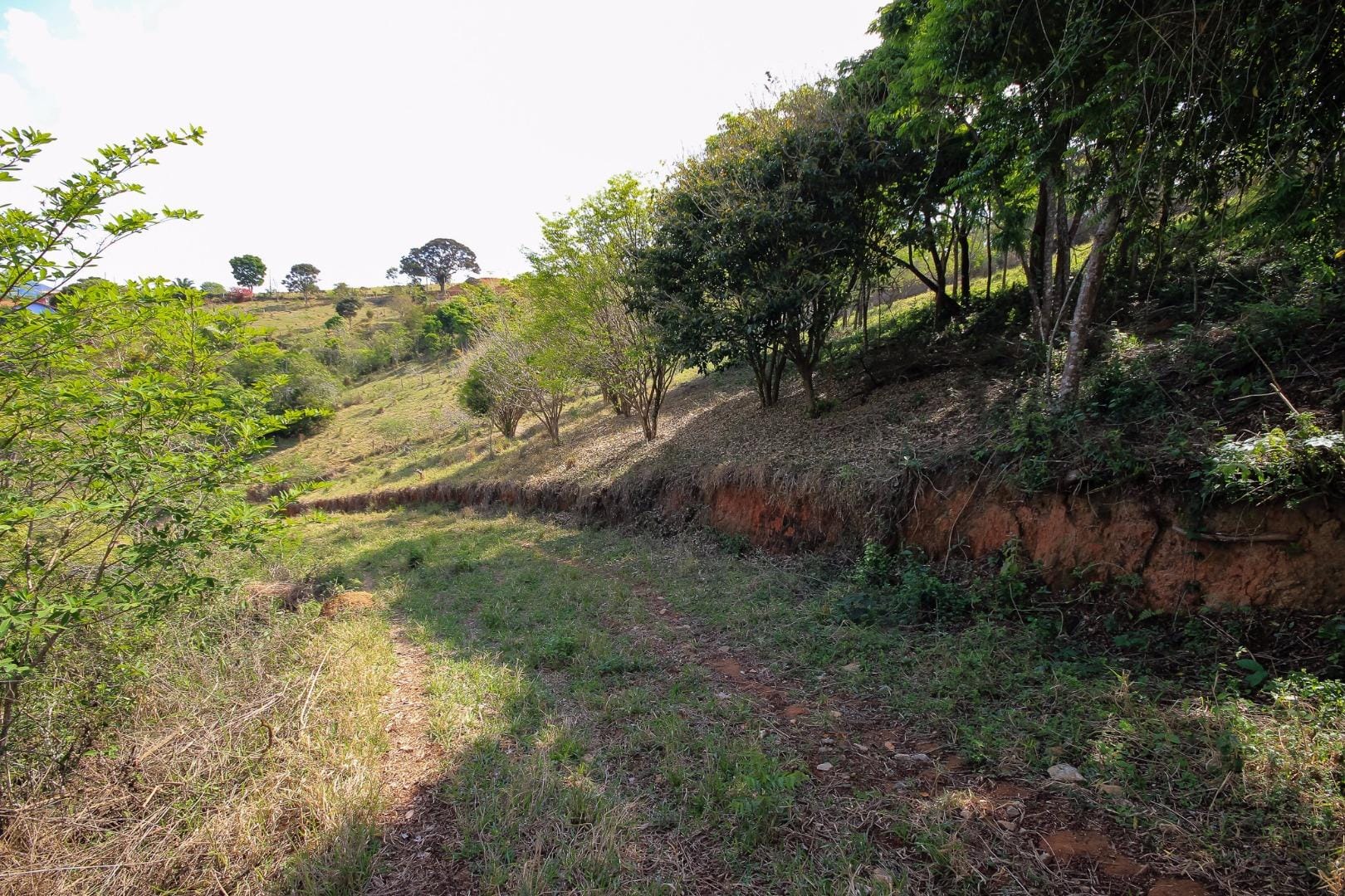 Terreno, 3000 m² - Foto 48