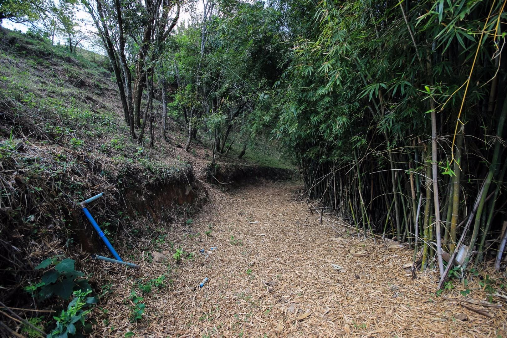 Terreno, 3000 m² - Foto 37