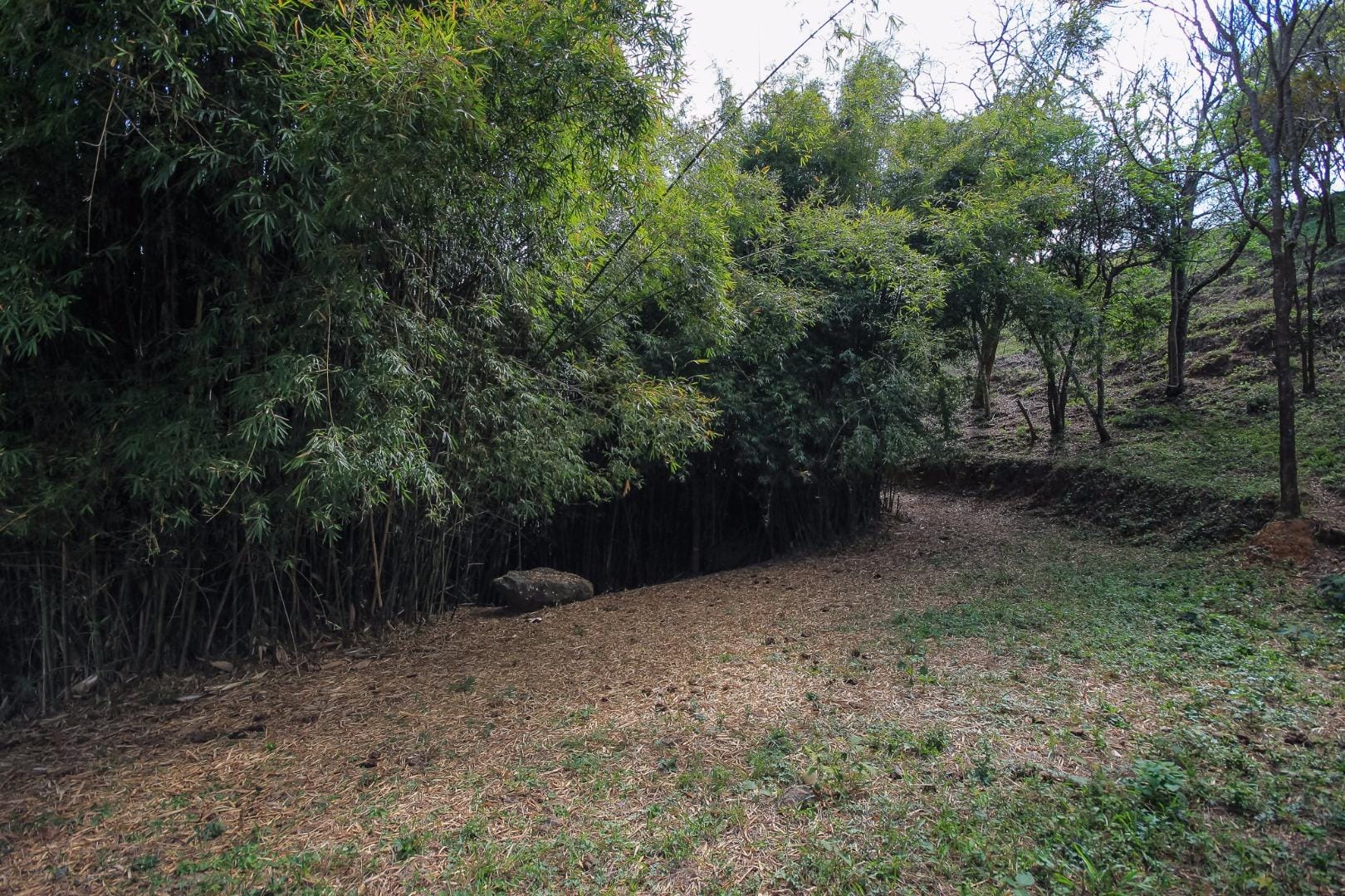 Terreno, 3000 m² - Foto 40