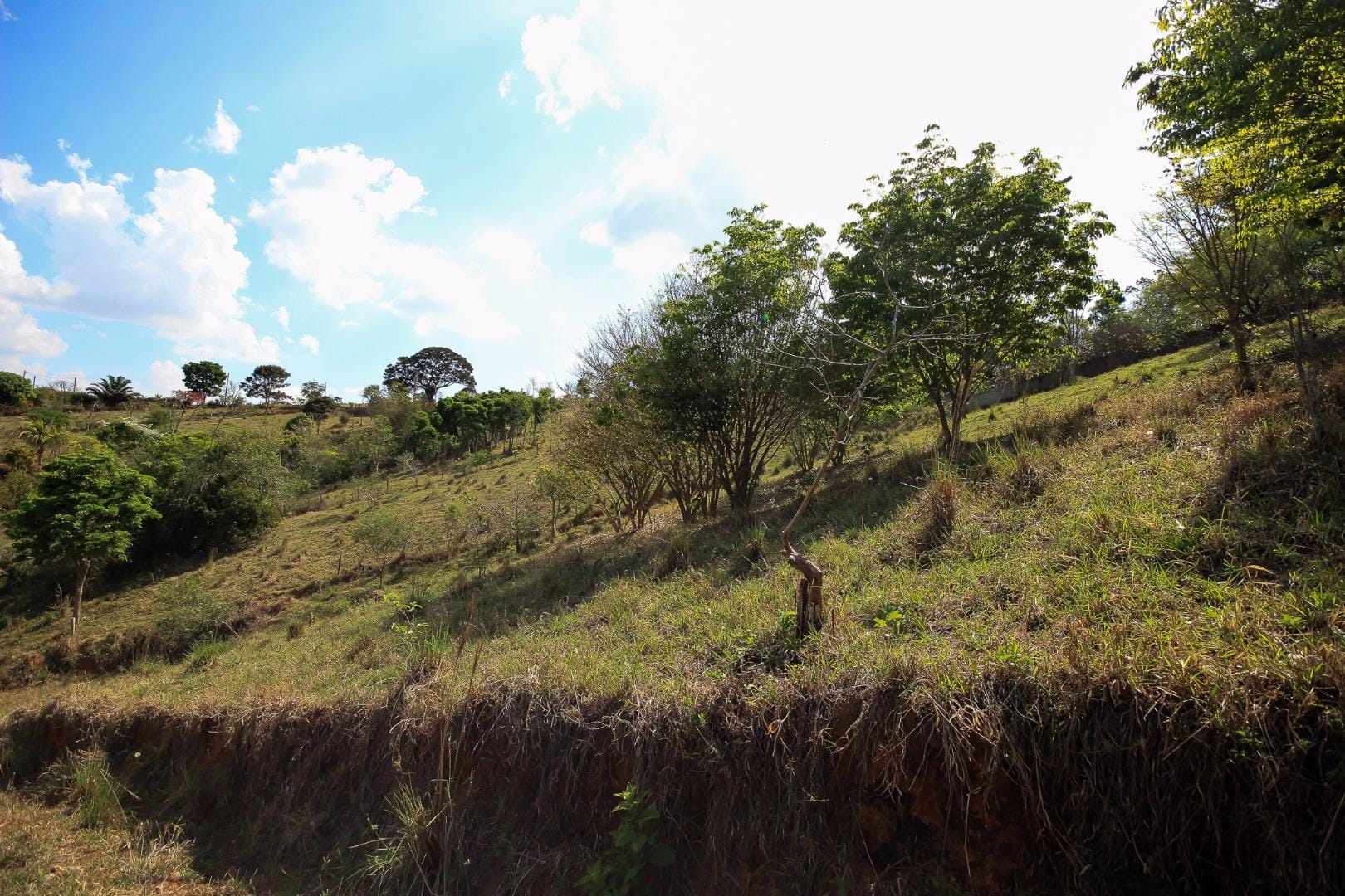 Terreno, 3000 m² - Foto 51
