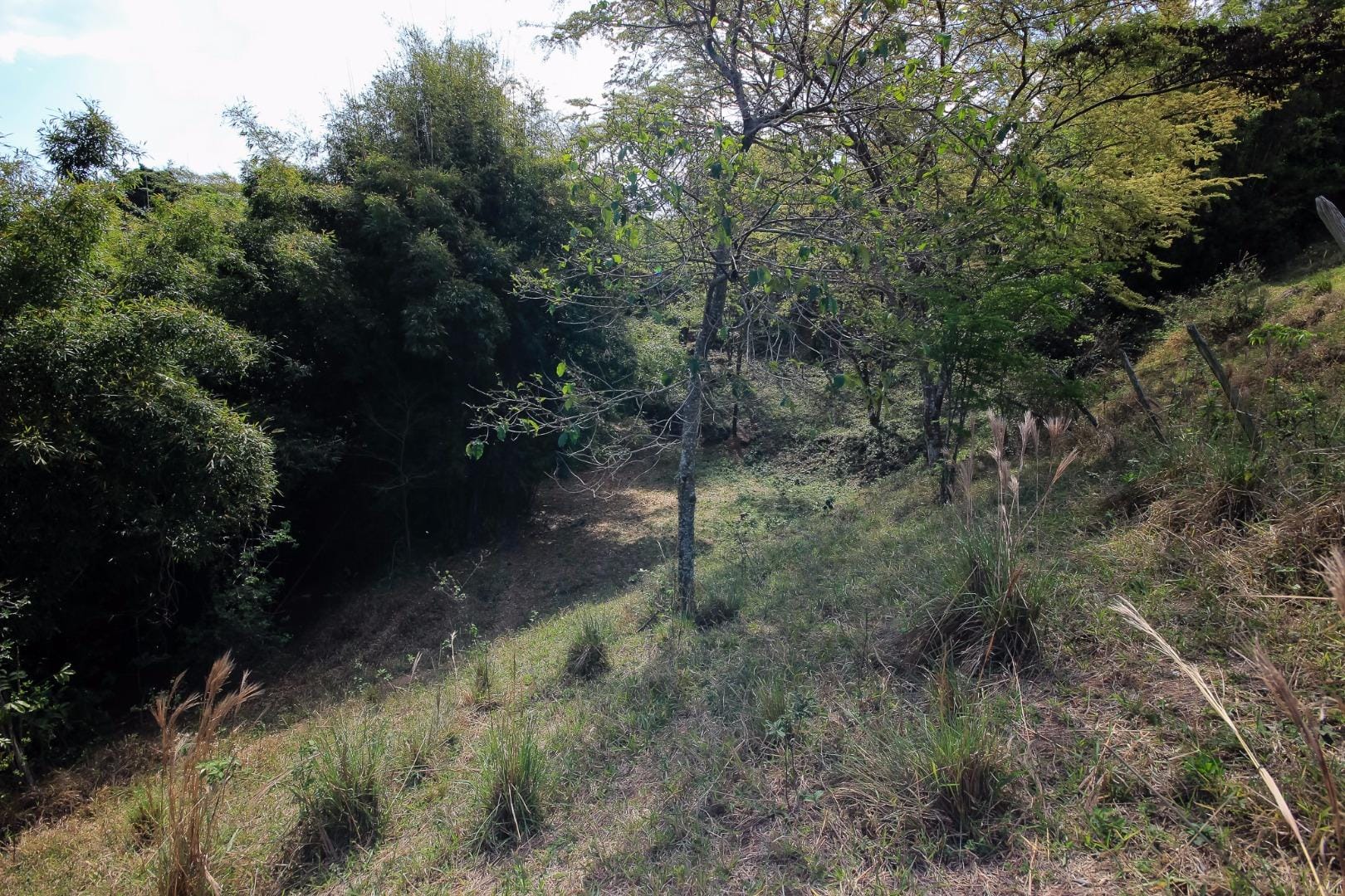 Terreno, 3000 m² - Foto 42