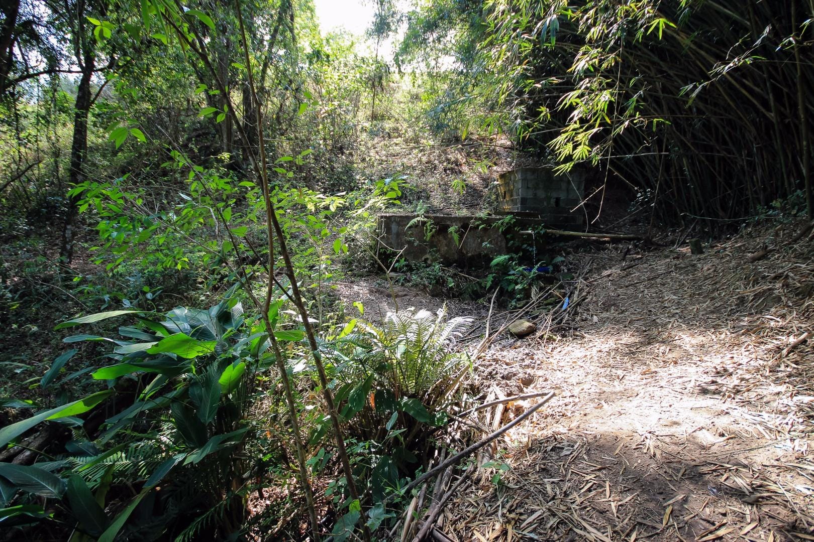 Terreno, 3000 m² - Foto 43