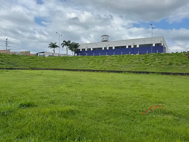 Terreno com 6238m², à venda, no bairro Vila São Miguel em Apucarana
