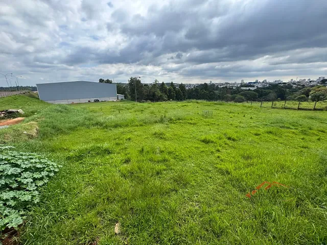 Terreno com 6238m², à venda, no bairro Vila São Miguel em Apucarana