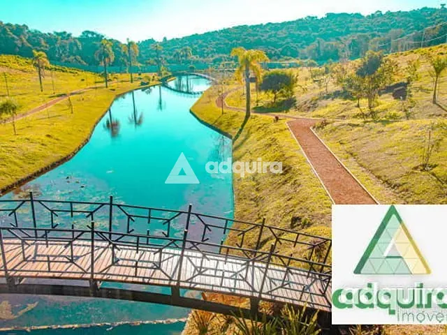 Terreno com 302m², à venda, no bairro Colônia Dona Luíza em Ponta Grossa