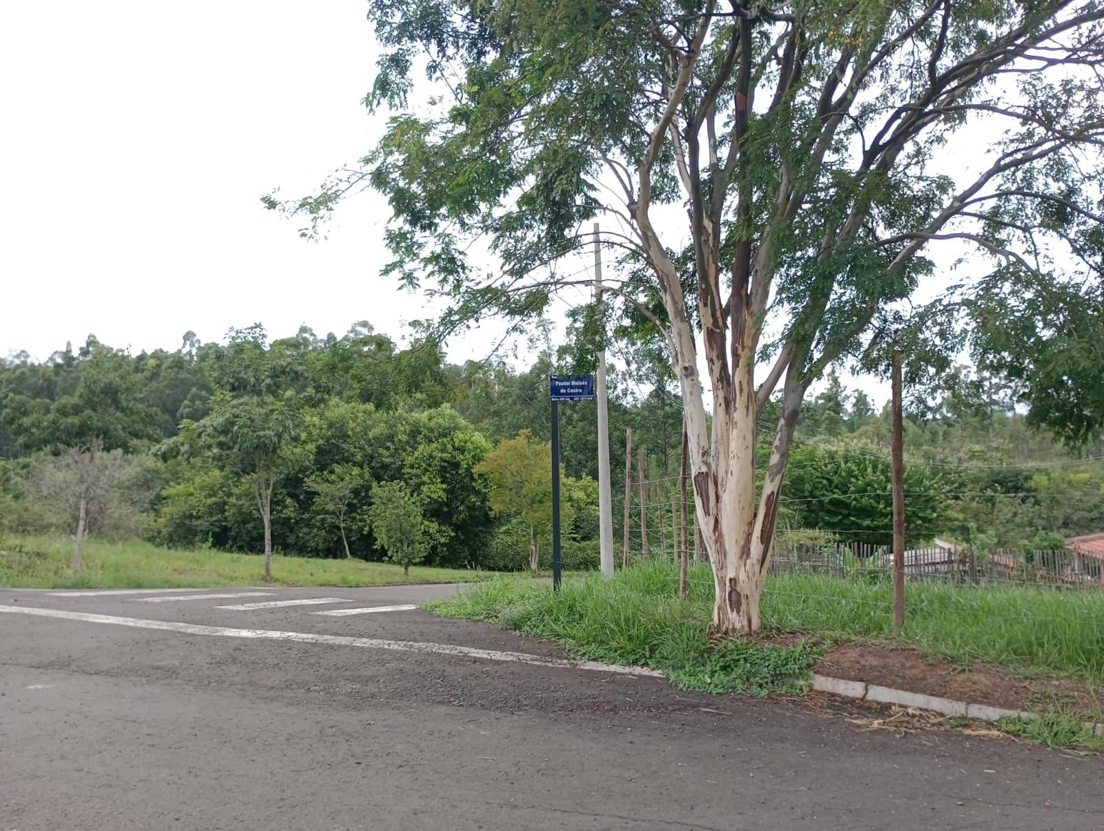 Terreno, 250 m² - Foto 1