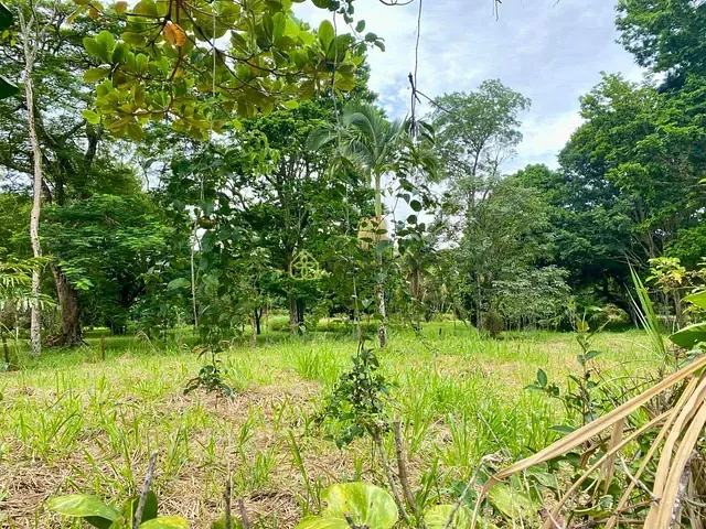 Terreno com 1000m², à venda, no bairro Comercial (Penedo) em Itatiaia