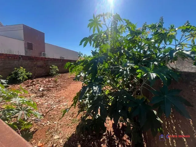 Terreno com 300m², à venda, no bairro Jardim Alvorada em Três Lagoas