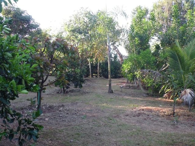 Terreno com 1492m², à venda, no bairro Estância Cabral em Cambé