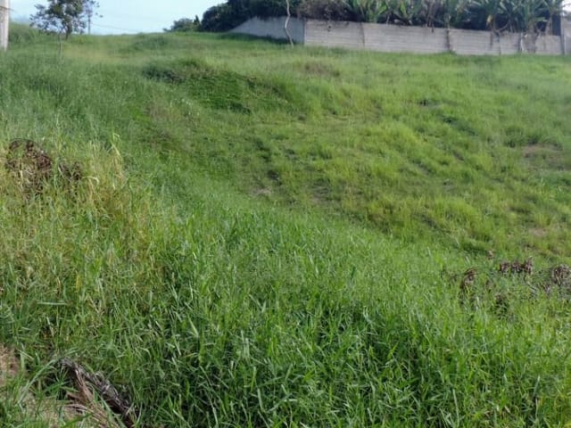 Foto do Terreno - Terreno à venda, 1000 m² por R$ 530.000,00 - Parque Mirante Do Vale - Jacareí/SP | RUSSI IMÓVEIS