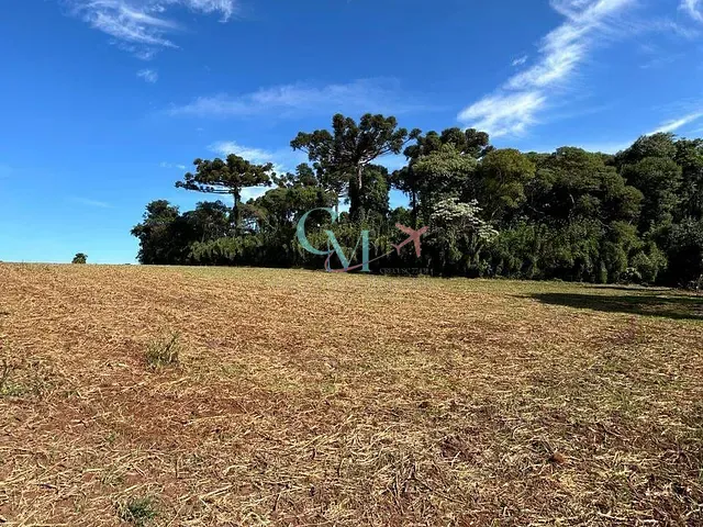 Terreno com 61500m², à venda, no bairro interior em Xanxerê