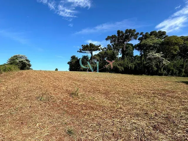 Terreno com 61500m², à venda, no bairro interior em Xanxerê