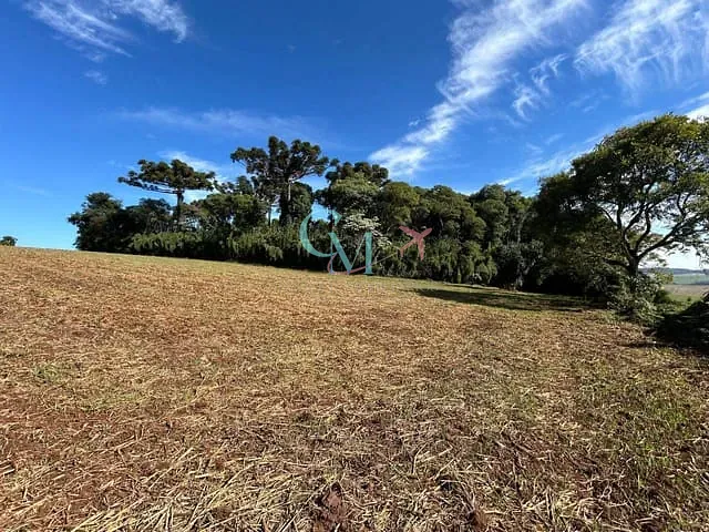 Terreno com 61500m², à venda, no bairro interior em Xanxerê