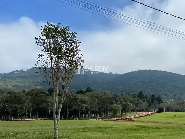 Terreno com 873m², à venda, no bairro Bortolan Norte I em Poços de Caldas