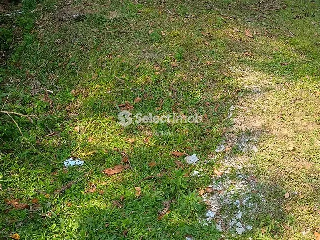 Terreno com 300m², à venda, no bairro Colônia em Ribeirão Pires