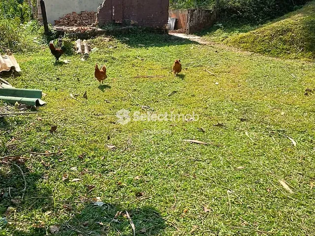 Terreno com 300m², à venda, no bairro Colônia em Ribeirão Pires