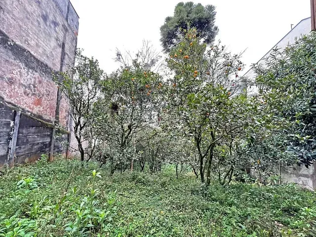 Terreno com 486m², à venda, no bairro Vista Alegre em Curitiba