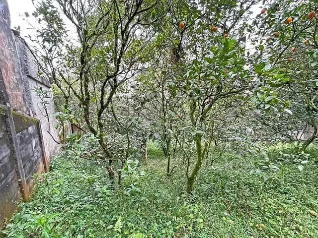 Terreno com 486m², à venda, no bairro Vista Alegre em Curitiba