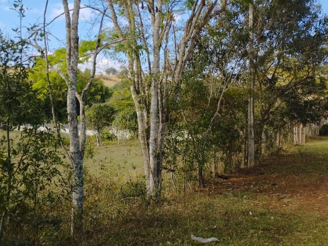 Terreno com 766m², à venda, no bairro Vale Do Sol em Cambuí