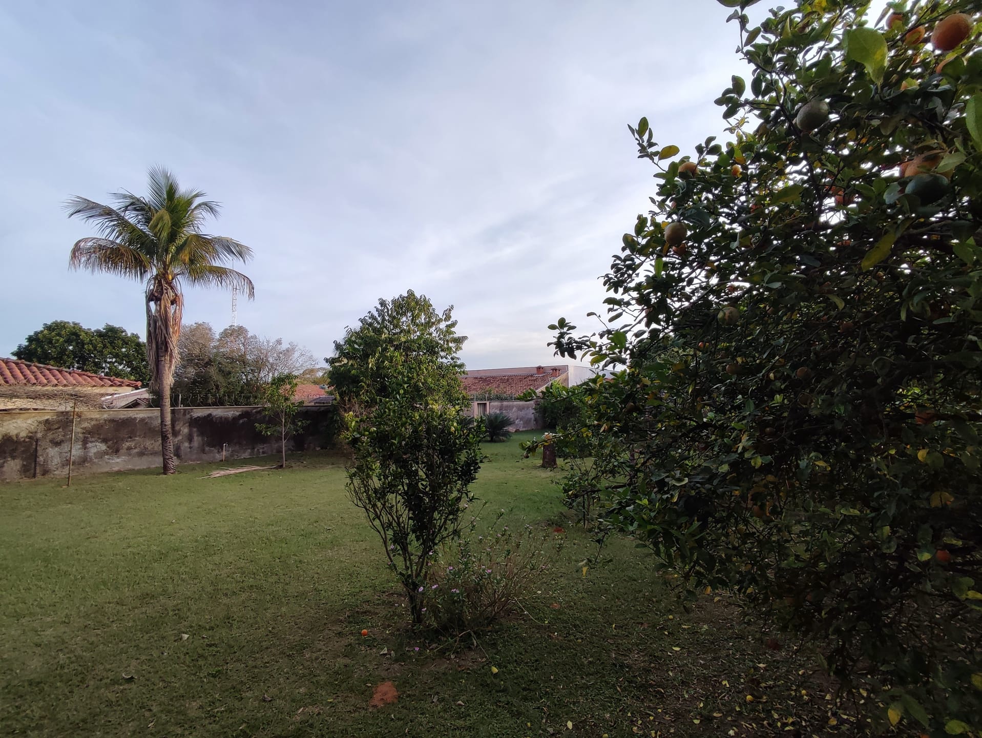 Terreno, 1370 m² - Foto 14