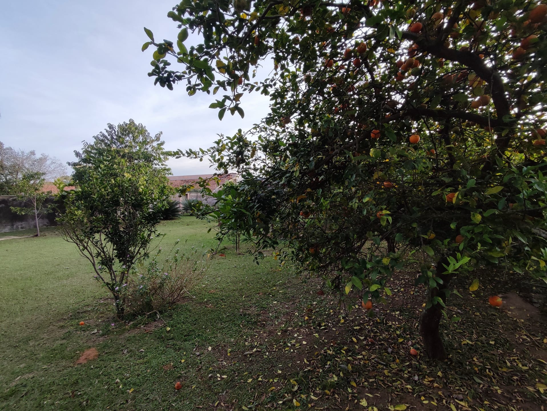 Terreno, 1370 m² - Foto 15