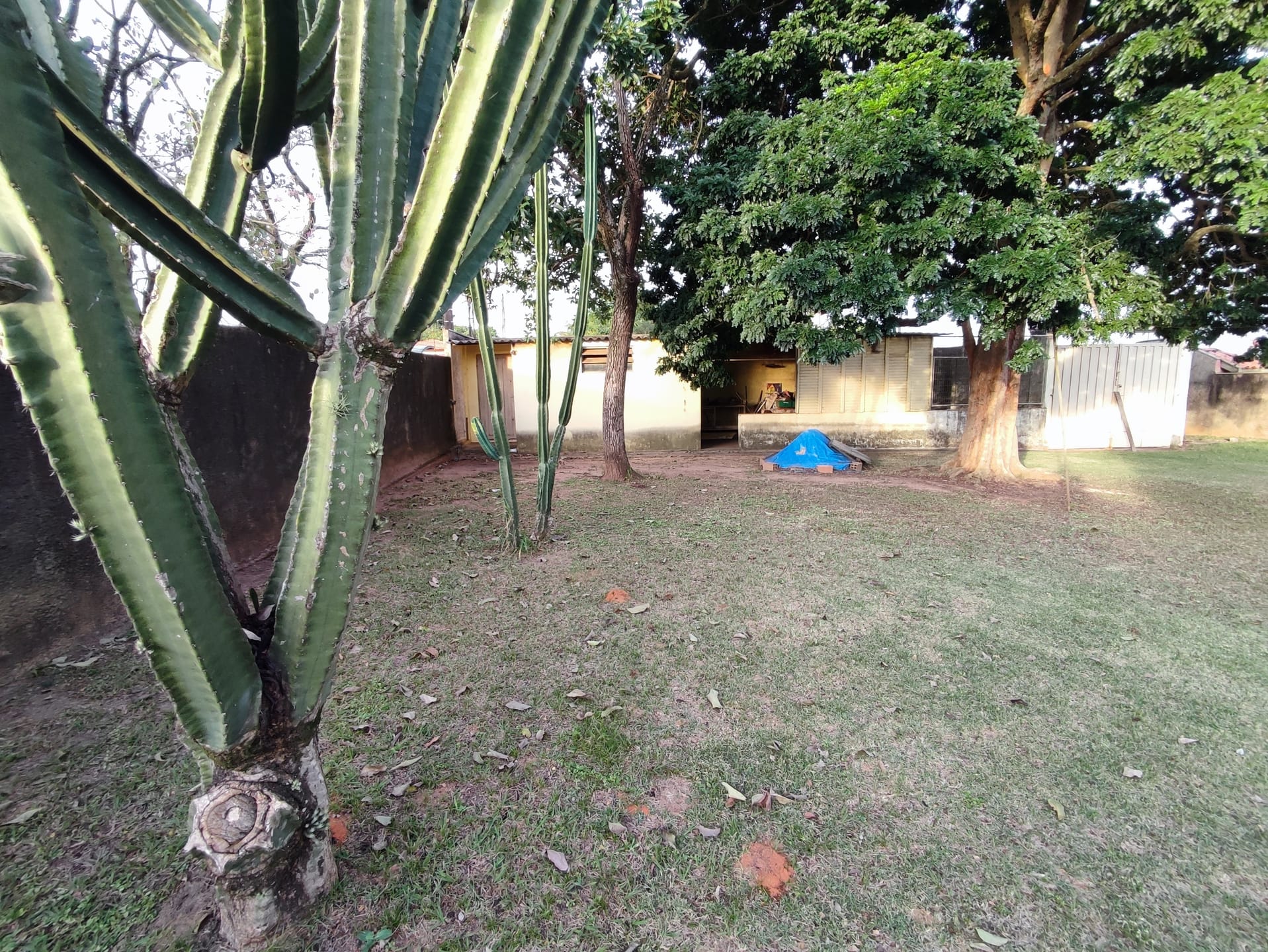 Terreno, 1370 m² - Foto 16