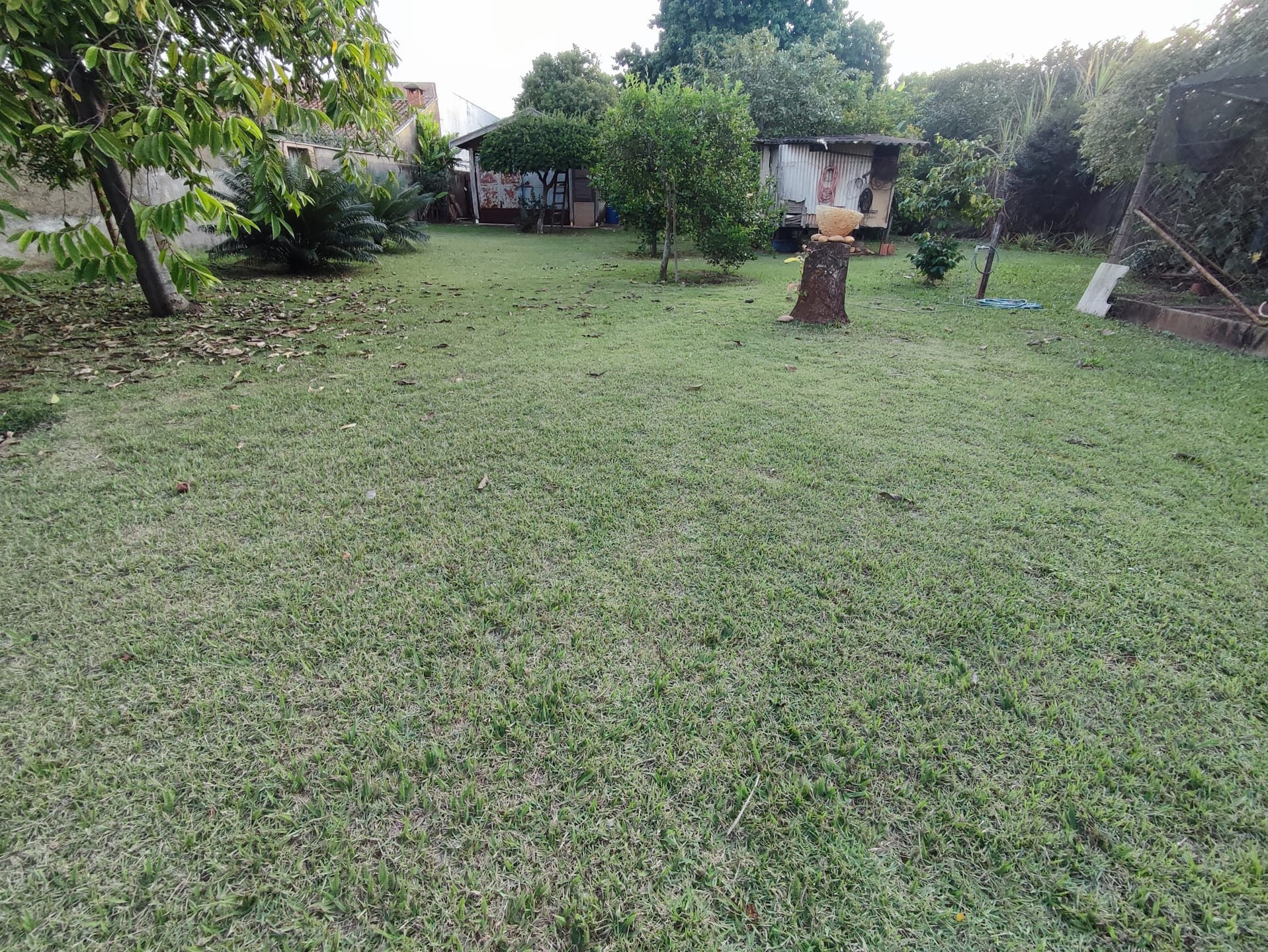 Terreno, 1370 m² - Foto 17