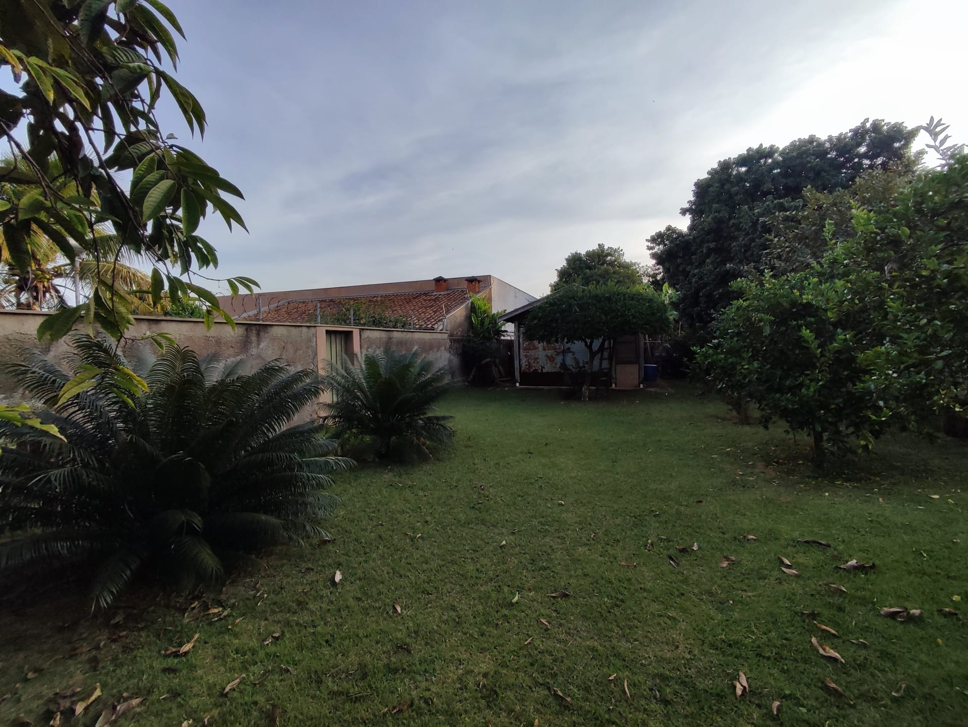 Terreno, 1370 m² - Foto 3