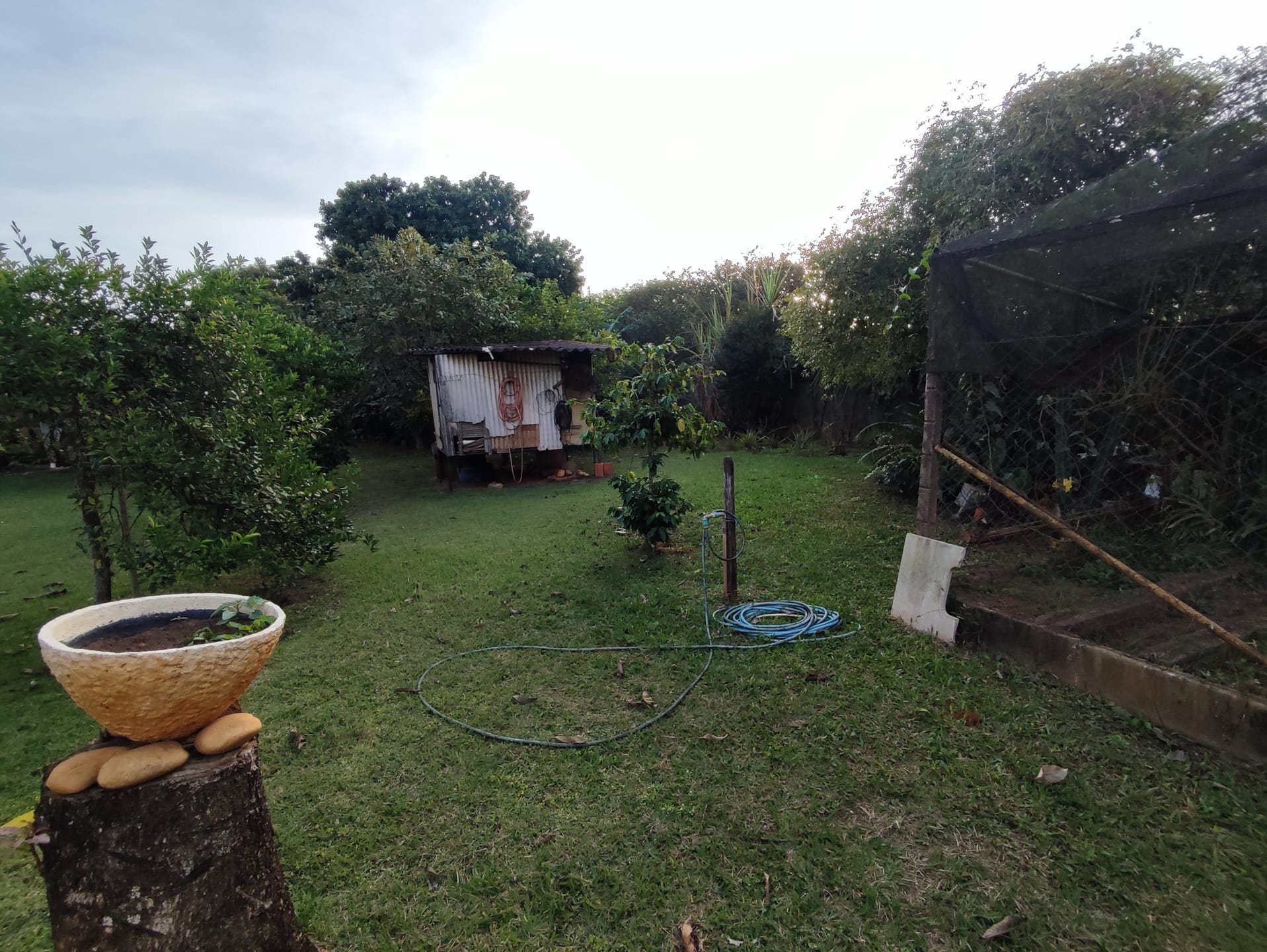 Terreno, 1370 m² - Foto 4