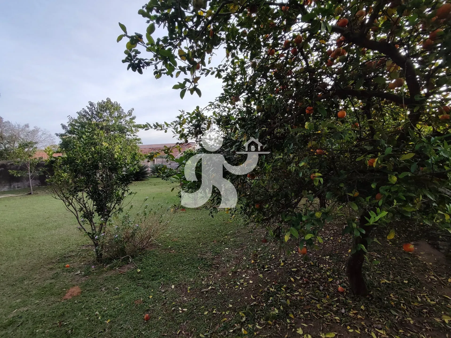 Terreno, 1370 m² - Foto 15