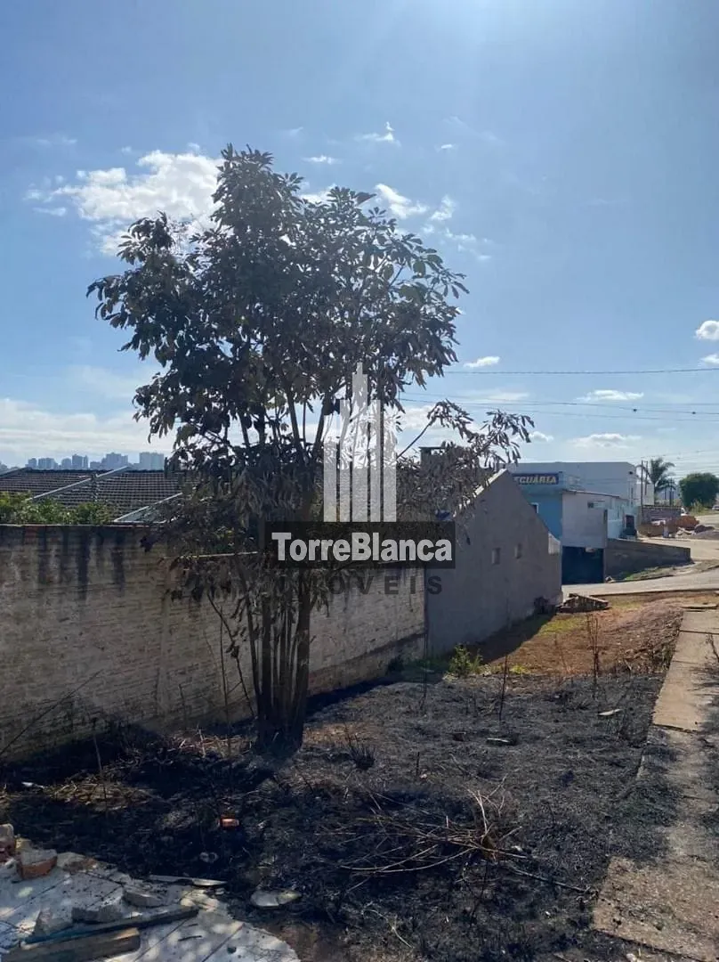 Terreno, 462 m² - Foto 3