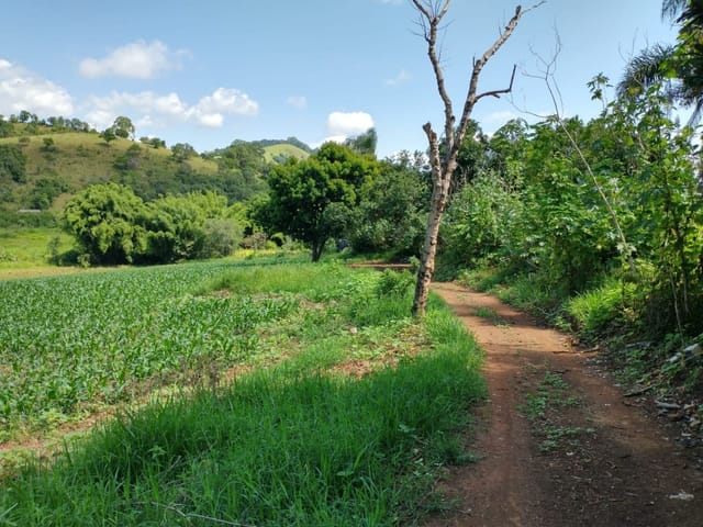 Terreno com 12590m², à venda, no bairro Vazes em Cambuí