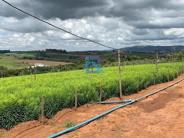 Terreno com 121000m², à venda, no bairro Campinho em Bragança Paulista