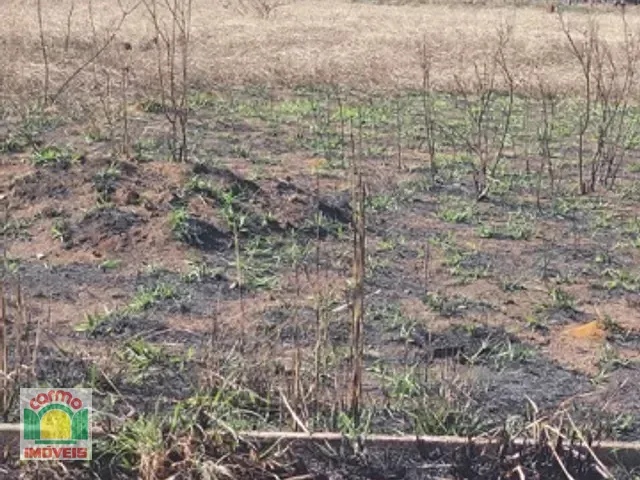 Terreno com 10265m², à venda, no bairro Distrito Agroindustrial de Anápolis em Anápolis