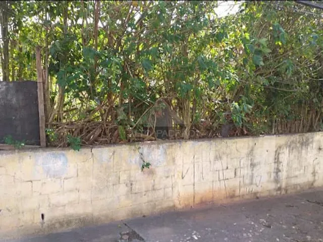 Terreno com 400m², à venda, no bairro Vila Assis Brasil em Mauá