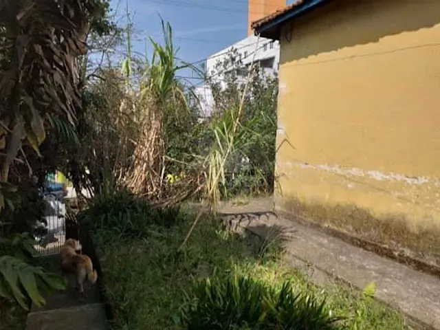 Terreno com 400m², à venda, no bairro Vila Assis Brasil em Mauá