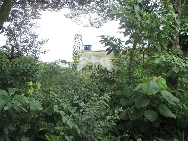 Terreno com 4000m², à venda, no bairro Chácara Santa Etelvina em São Paulo