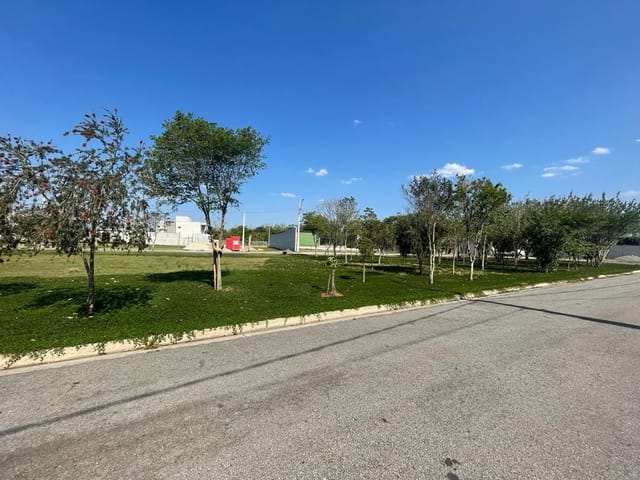 Foto do Terreno - Terreno à venda, 212 m² por R$ 230.000,00 - Jardim Jacinto - Jacareí/SP | RUSSI IMÓVEIS