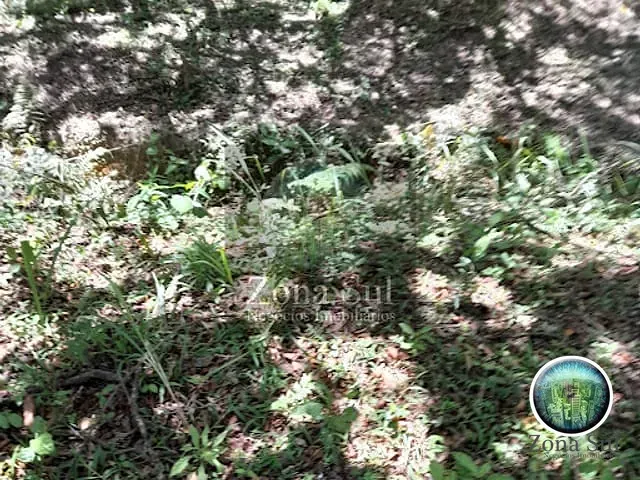 Terreno com 2500m², à venda, no bairro Bosque dos Eucaliptos em Araçoiaba da Serra