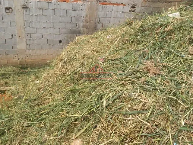 Terreno com 146m², à venda, no bairro Bosque de Jandira em Jandira