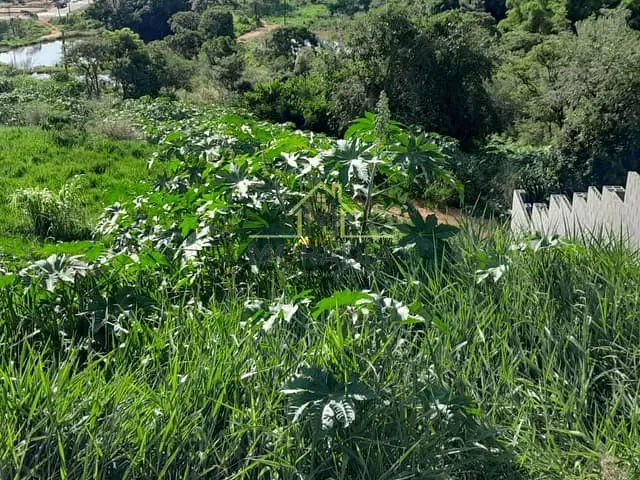 Terreno com 419m², à venda, no bairro Bourbon  em Guaxupé