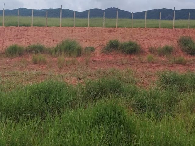 Terreno com 250m², à venda, no bairro GUARAIUVA em Vargem